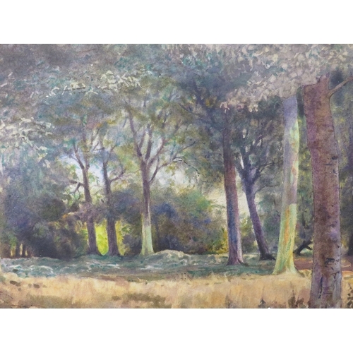 23 - F Dearden - A pair of watercolours depicting woodland scenes