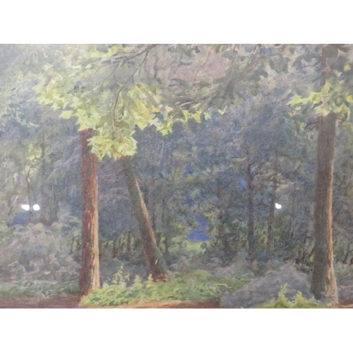 23 - F Dearden - A pair of watercolours depicting woodland scenes