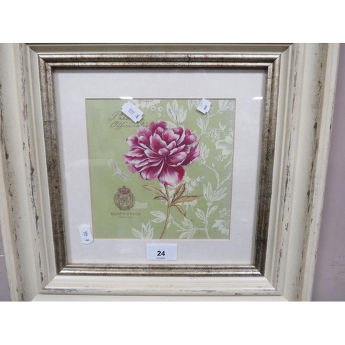 24 - A set of four framed botanical prints in shabby chic frames