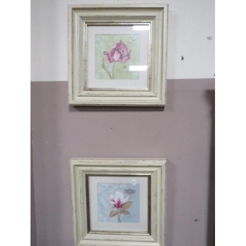 24 - A set of four framed botanical prints in shabby chic frames