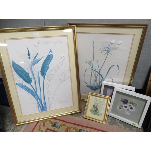 7 - A pair of large framed botanical prints and four smaller pictures