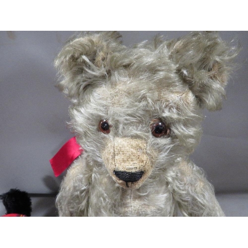 243 - A vintage teddy bear together with a modern Scottie toy dog