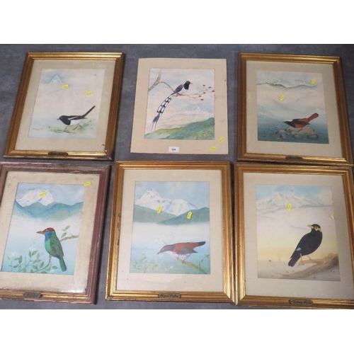 204 - Five North Indian/Nepal paintings of wild birds with Hymalaya mountain backgrounds, framed and glaze... 