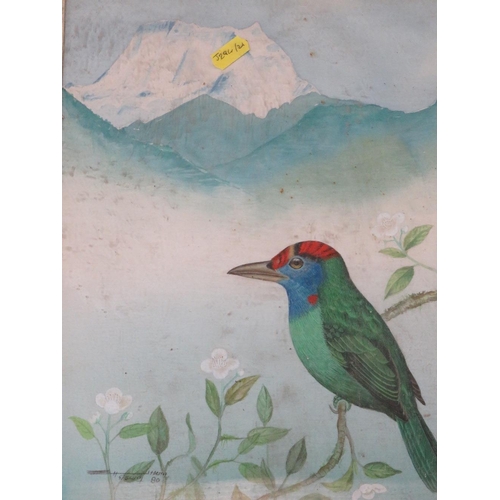 204 - Five North Indian/Nepal paintings of wild birds with Hymalaya mountain backgrounds, framed and glaze... 