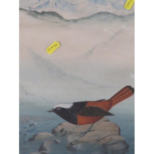 204 - Five North Indian/Nepal paintings of wild birds with Hymalaya mountain backgrounds, framed and glaze... 