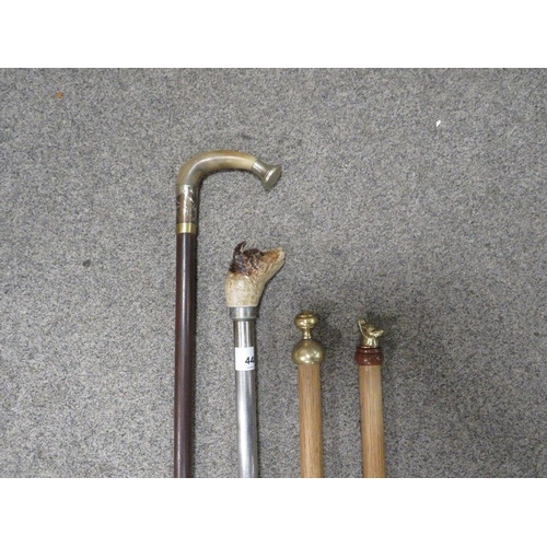 448 - A selection of four walking sticks to include a modern metal one with a Jack Russell head