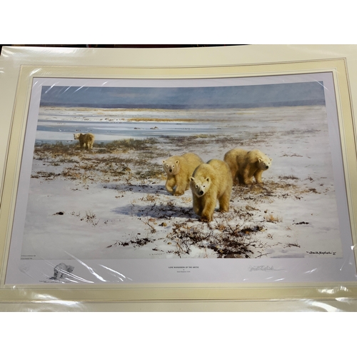 234 - Five unframed David Shepherd limited edition wildlife prints to include  ‘Lone Wanderers of the Arti... 