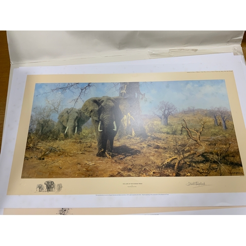 234 - Five unframed David Shepherd limited edition wildlife prints to include  ‘Lone Wanderers of the Arti... 