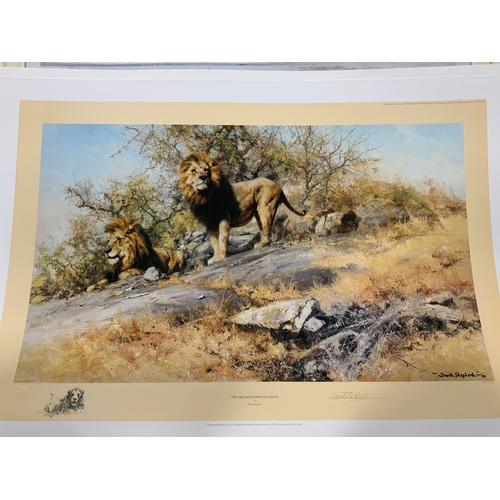 234 - Five unframed David Shepherd limited edition wildlife prints to include  ‘Lone Wanderers of the Arti... 