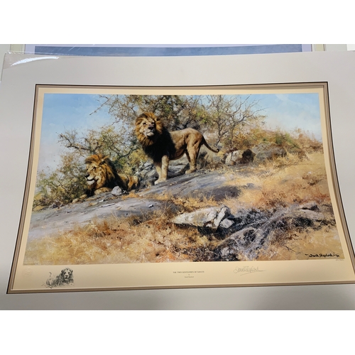 234 - Five unframed David Shepherd limited edition wildlife prints to include  ‘Lone Wanderers of the Arti... 