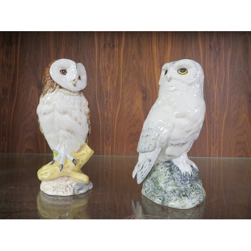 285 - Four Royal Doulton owls