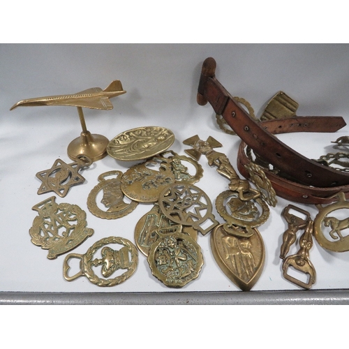 474 - A tray of brass items to include horse brasses on military marked leather straps, Concord on a plint... 