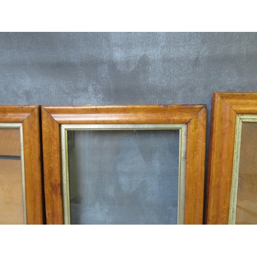 427 - THREE 19TH CENTURY MAPLE FRAMES, all glazed, frame W 4 cm, 2 x 3.5 cm, rebates - two x 29 x 25 cm an... 