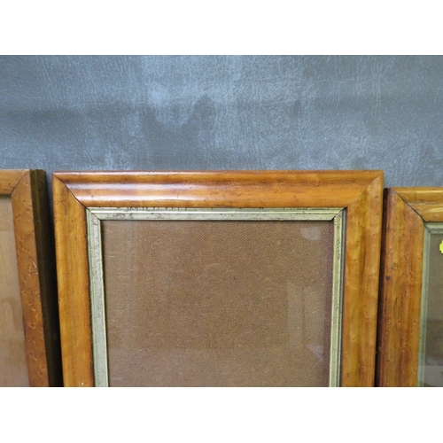 429 - THREE 19TH CENTURY MAPLE FRAMES, all glazed, frame W 2.5 cm, 3.5 cm, 4 cm, rebates 32 x 26 cm, 29 x ... 