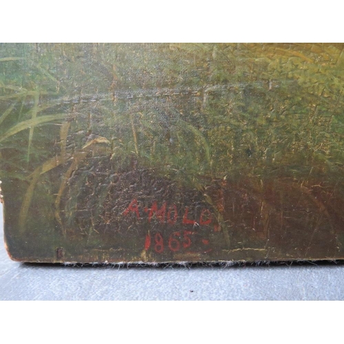 469 - A. MOLD. A study of wildfowl and teal on a bank, signed, inscribed and dated 1885 verso, oil on pane... 