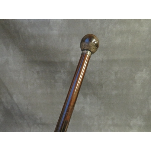 1109 - A SILVER MOUNTED EXOTIC WOODEN WALKING STICK, L 91 cm