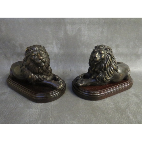 859 - A PAIR OF EARLY 20TH CENTURY BRONZE LIONS, set on wooden bases, H 15 cm, base L 22 cm, W 12 cm