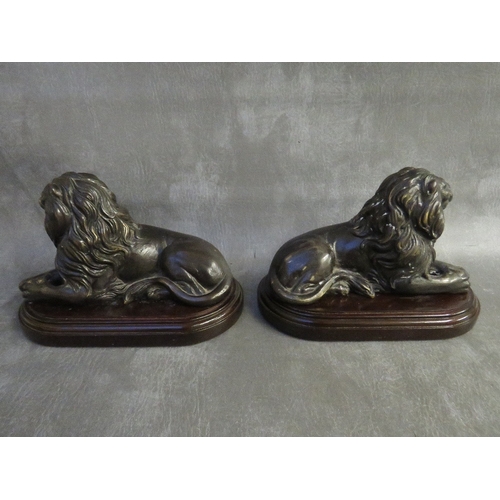 859 - A PAIR OF EARLY 20TH CENTURY BRONZE LIONS, set on wooden bases, H 15 cm, base L 22 cm, W 12 cm