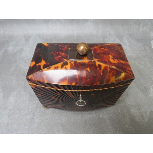 1101 - A GEORGE III BOW-FRONTED TORTOISESHELL TEA CADDY, raised on four bun feet, the hinged lid with circu... 