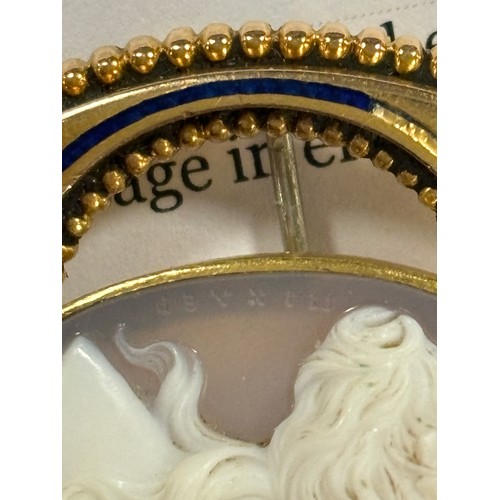 647 - AN UNUSUAL ENAMEL AND YELLOW METAL MOUNTED CAMEO BROOCH, approx weight 14.7g, H 4.25 cm