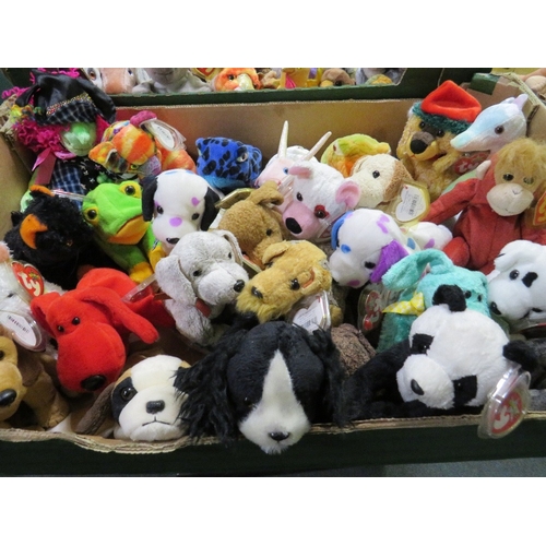 70 - Three trays containing a collection of TY Beanies - mainly TY Beanie animals