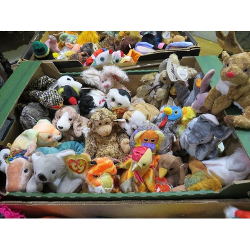 70 - Three trays containing a collection of TY Beanies - mainly TY Beanie animals