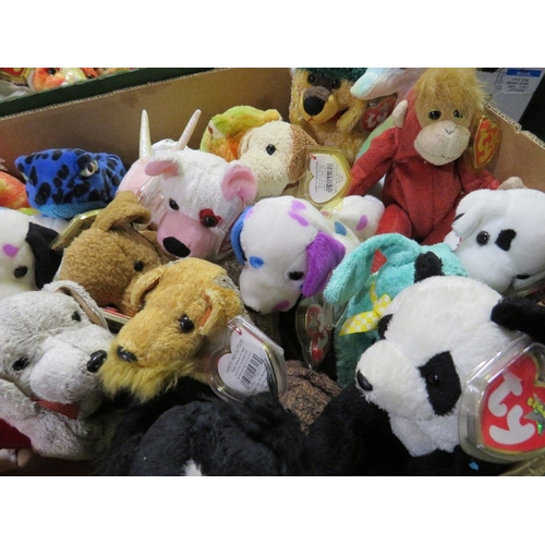 70 - Three trays containing a collection of TY Beanies - mainly TY Beanie animals