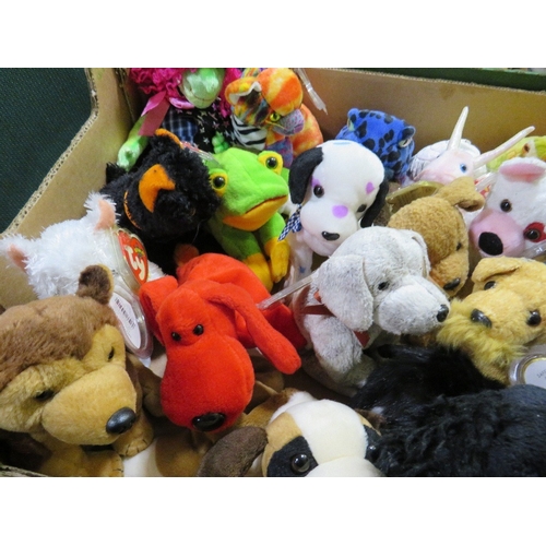 70 - Three trays containing a collection of TY Beanies - mainly TY Beanie animals