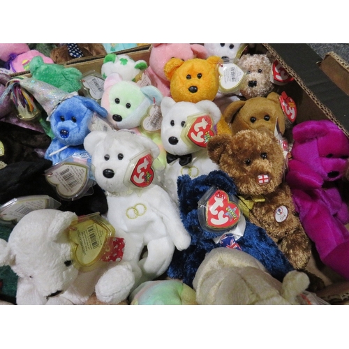 71 - Two trays containing a collection of TY Beanies - mainly TY Beanie Bears