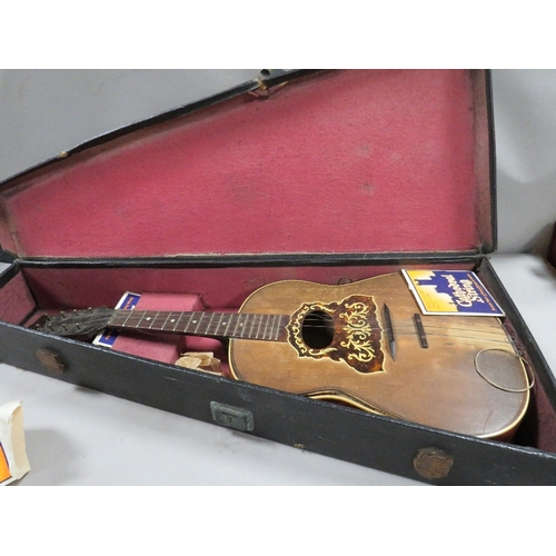 311 - A vintage Cathedral Strings hand painted boxed Mandolin