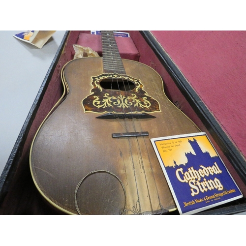 311 - A vintage Cathedral Strings hand painted boxed Mandolin