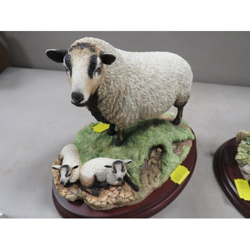 366 - Three Boarder Fine Arts figures to include badger face ewe and lambs