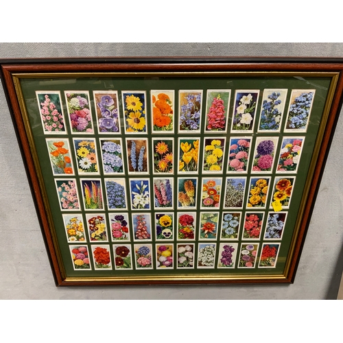 15 - A pair of framed double glass cigarette cards depicting butterflies and flowers