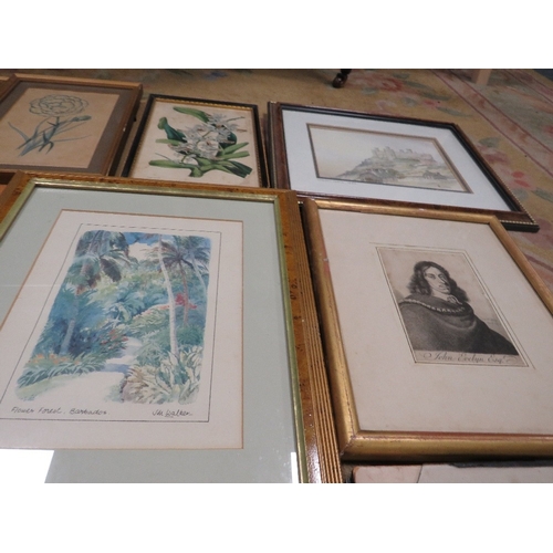 45 - A collection of 14 framed watercolours, engravings, drawings and prints by various artists