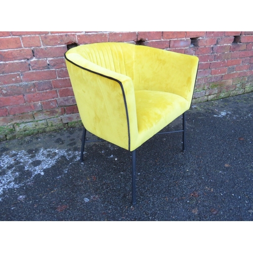 846 - A mustard / black piped club chair by Yorkshire Sofas (no makers label)