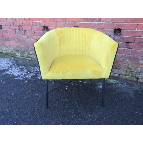 846 - A mustard / black piped club chair by Yorkshire Sofas (no makers label)