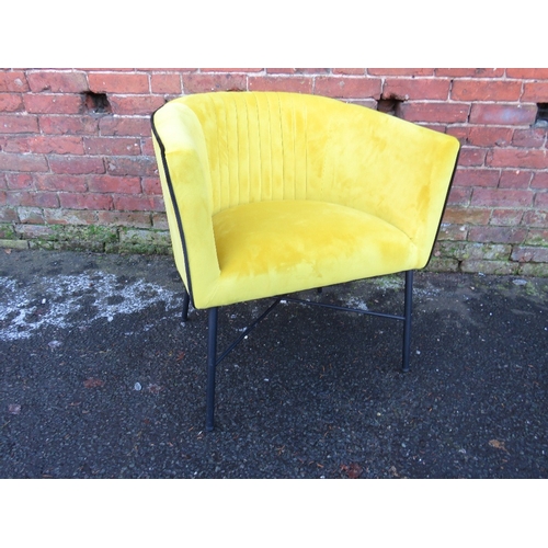 846 - A mustard / black piped club chair by Yorkshire Sofas (no makers label)