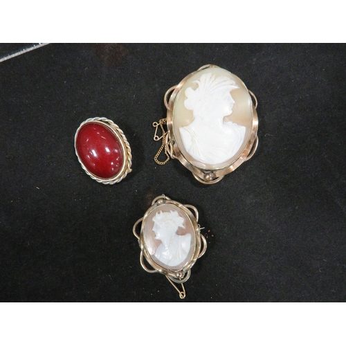 384 - Three brooches comprising one silver gilt and two yellow metal cameo brooches