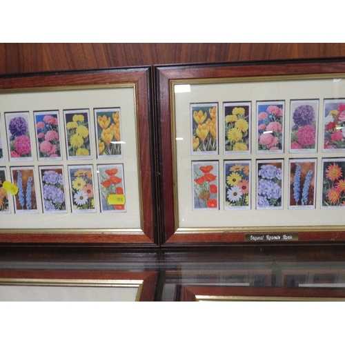 6 - A collection of ten floral themed sets of 10 cigarette cards - all framed and double glazed!, overal... 