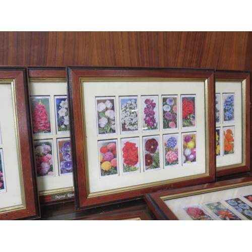 6 - A collection of ten floral themed sets of 10 cigarette cards - all framed and double glazed!, overal... 