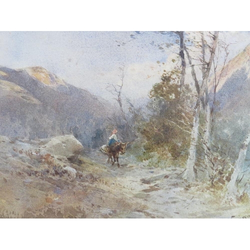 Lot 28        