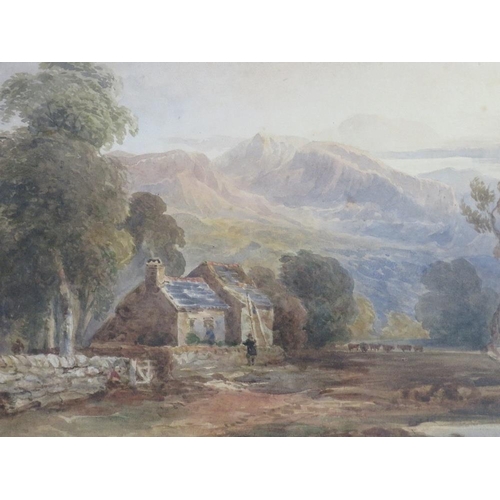 Lot 30        