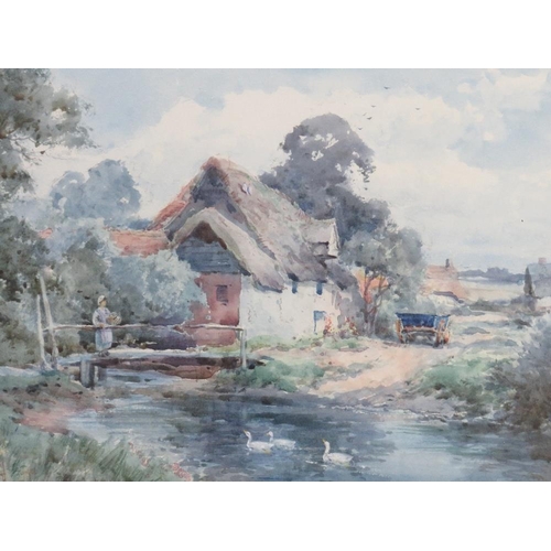 Lot 23        