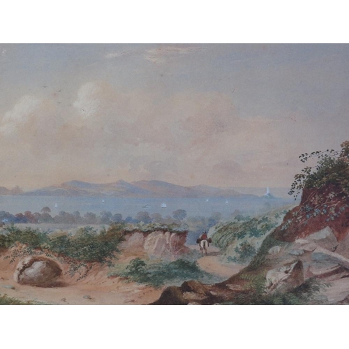 Lot 24        