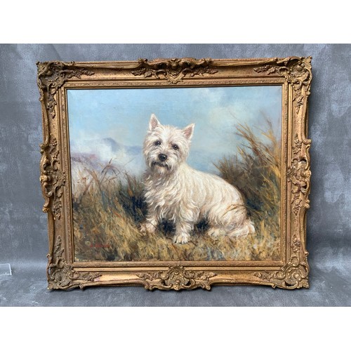 Lot 55        