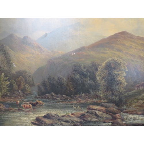 Lot 58        