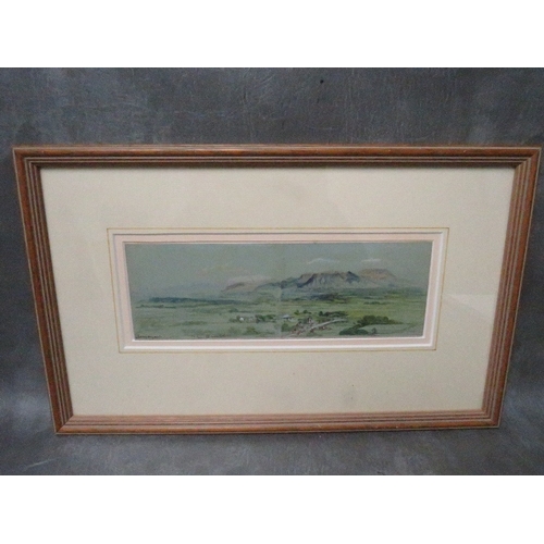 Lot 49        