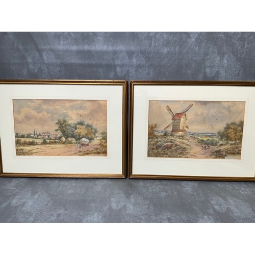 Lot 20        