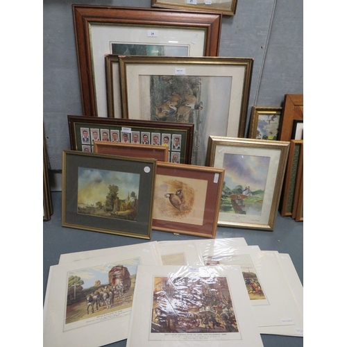 Lot 24        