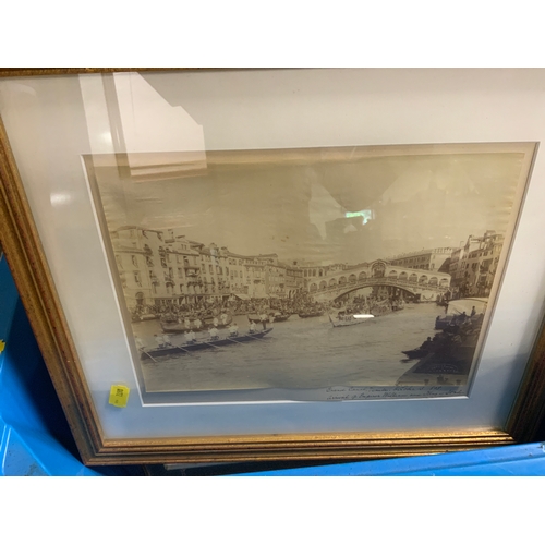 Lot 6         
